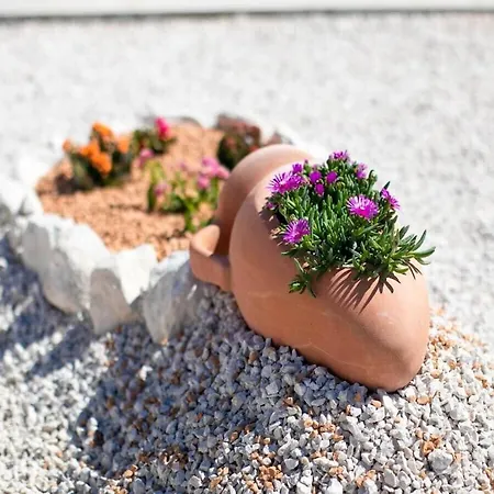 First Hill Comfortable Villa Zadar